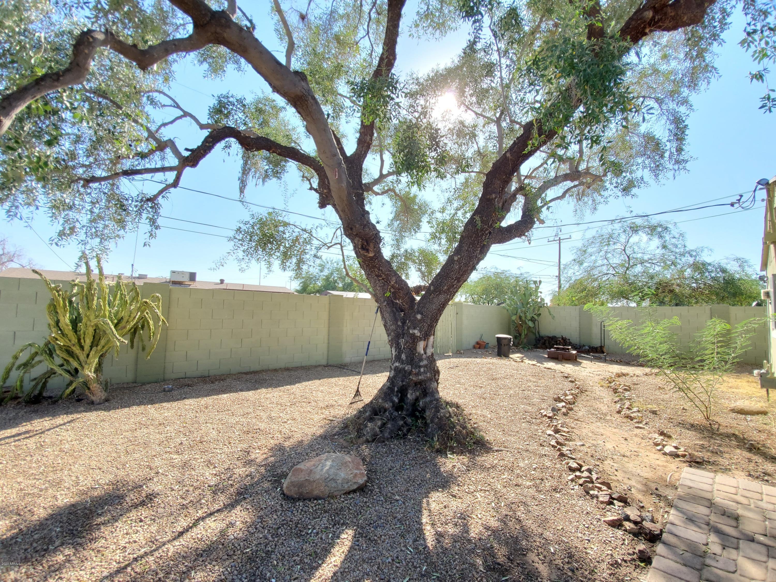 1029 West Elna Rae Street Tempe, AZ 85281 - Photo 30 of 32 20201008_145511