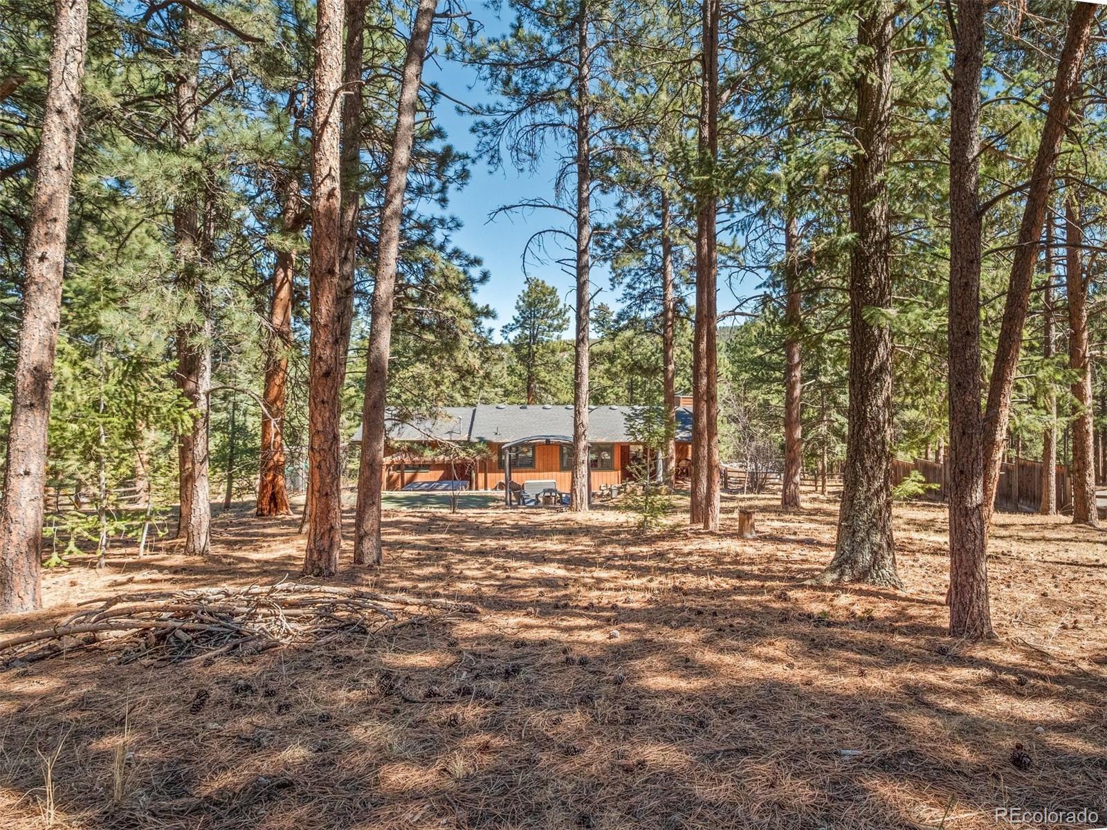 8815 Rudd Road Evergreen, CO 80439 - Photo 29 of 36