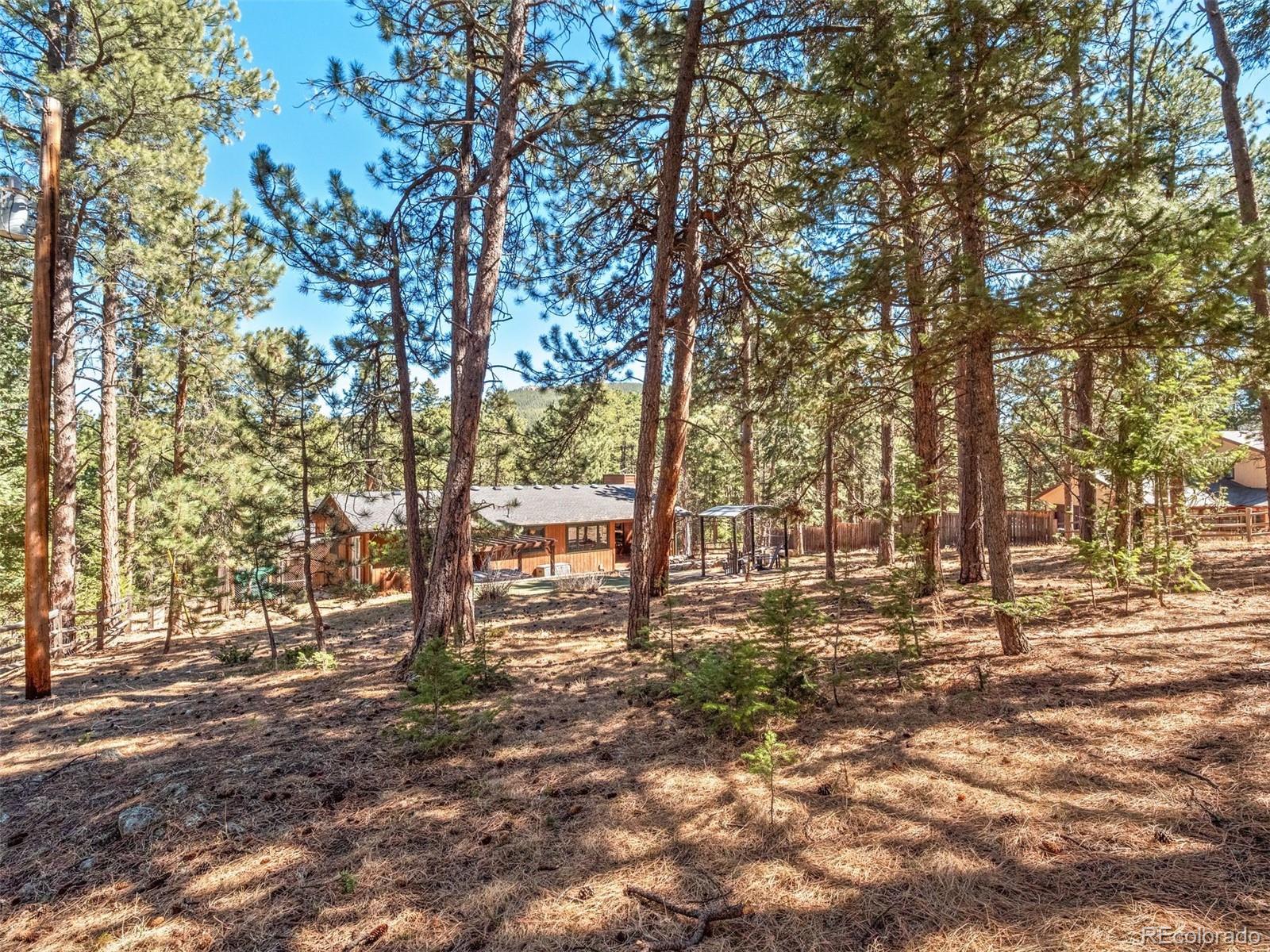 8815 Rudd Road Evergreen, CO 80439 - Photo 30 of 36