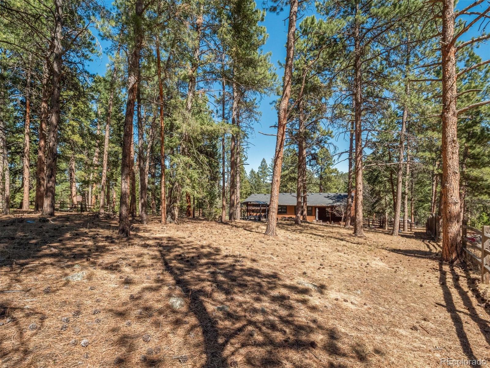 8815 Rudd Road Evergreen, CO 80439 - Photo 34 of 36