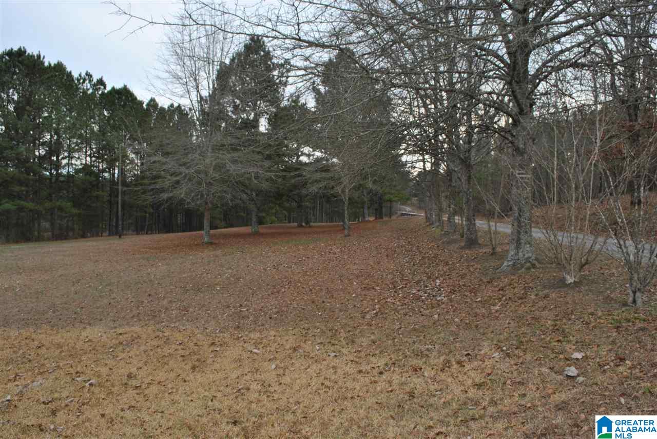 280 Bell Road Nauvoo, AL 35578 - Photo 5 of 23
