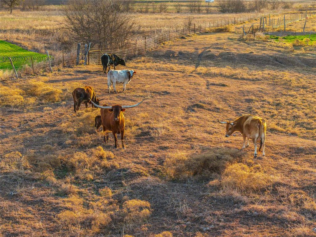 Unk Cathey Creek Road Holland, TX 76534 - Photo 25 of 26 a view of a lake view