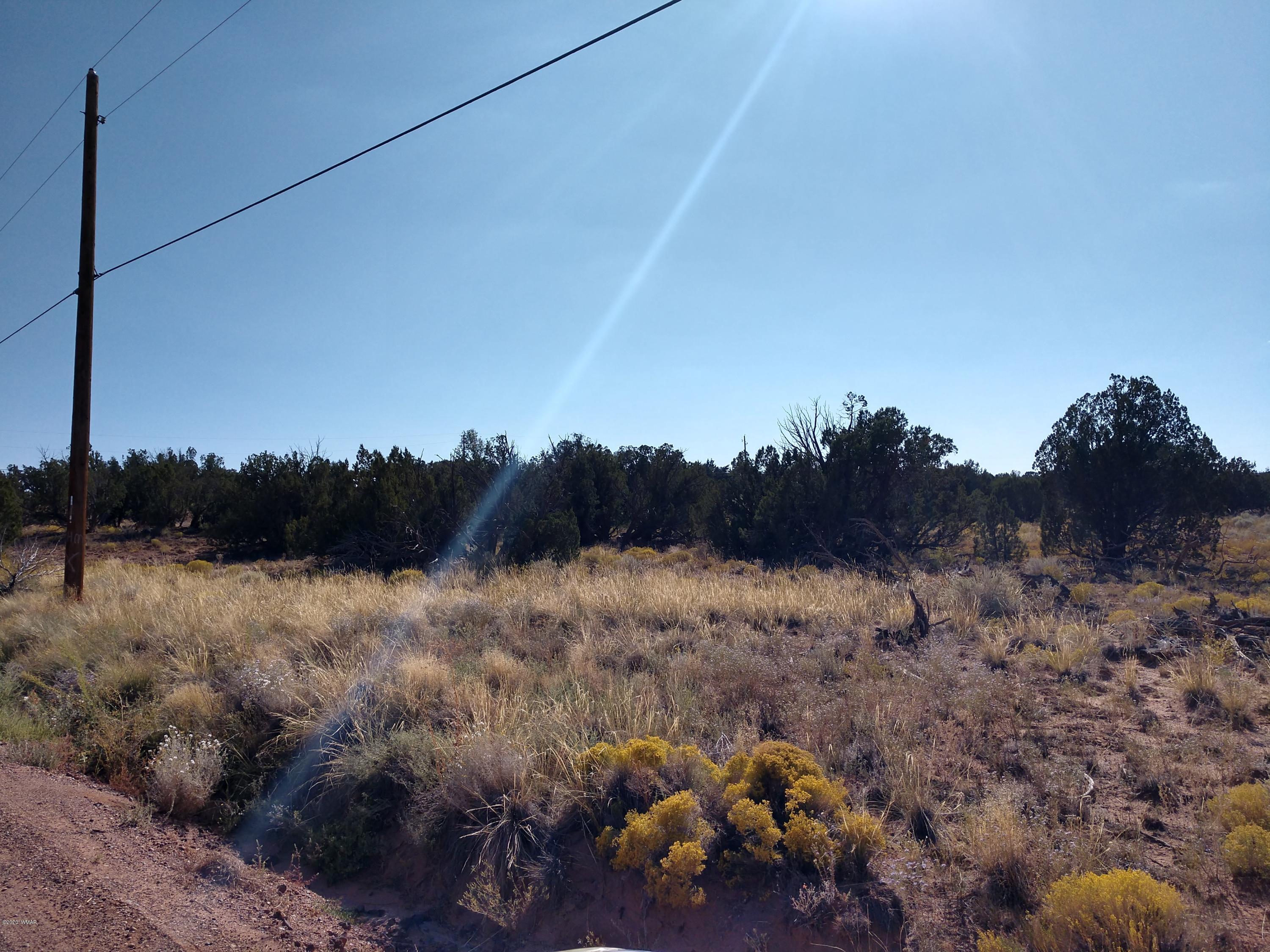 3894 Hidden Ranch Road Snowflake, AZ 85937 - Photo 1 of 7 Gallery Image 1