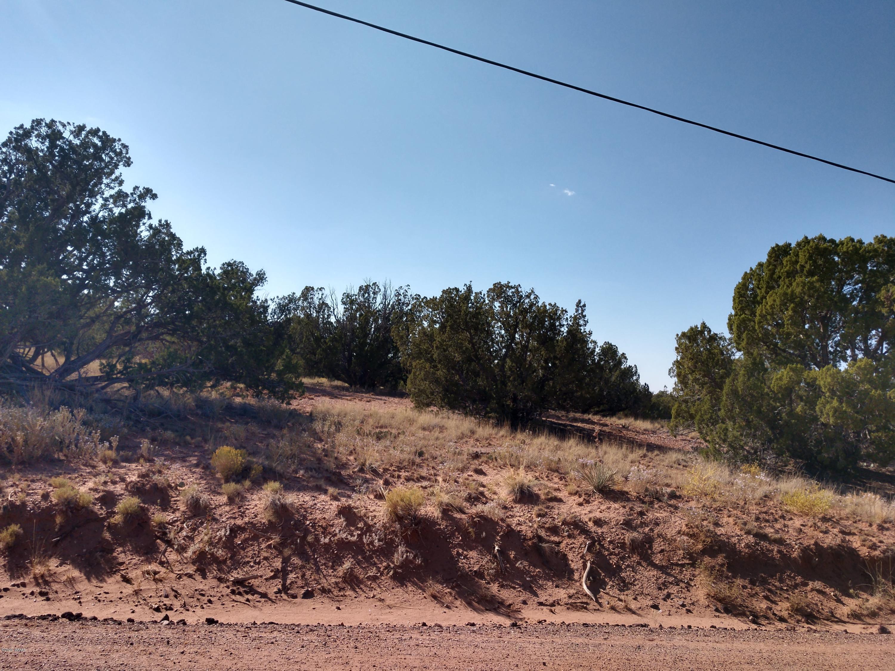 3894 Hidden Ranch Road Snowflake, AZ 85937 - Photo 2 of 7 Gallery Image 2