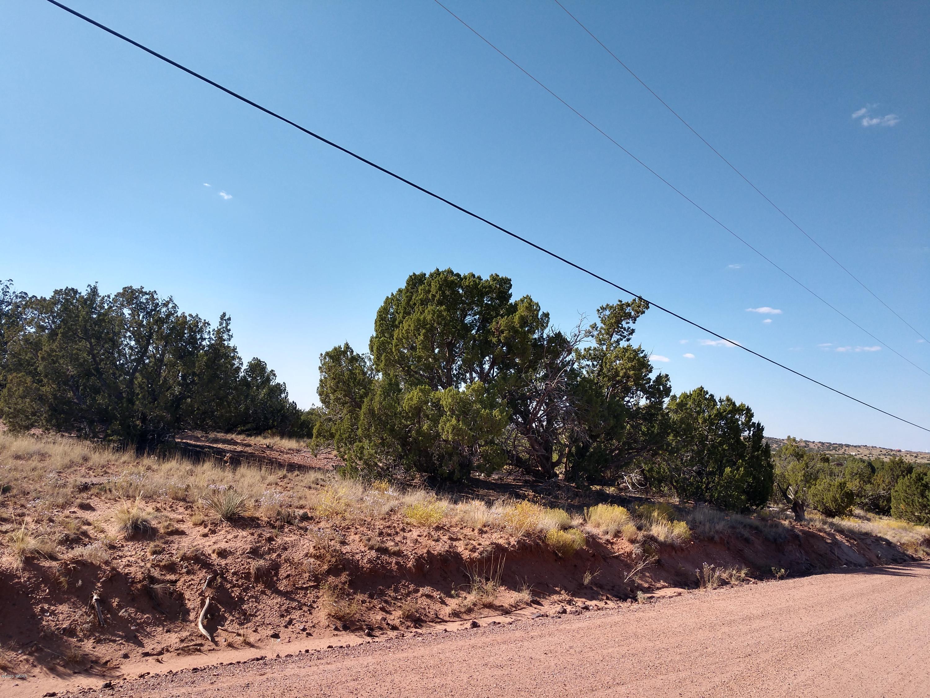 3894 Hidden Ranch Road Snowflake, AZ 85937 - Photo 3 of 7 Gallery Image 3