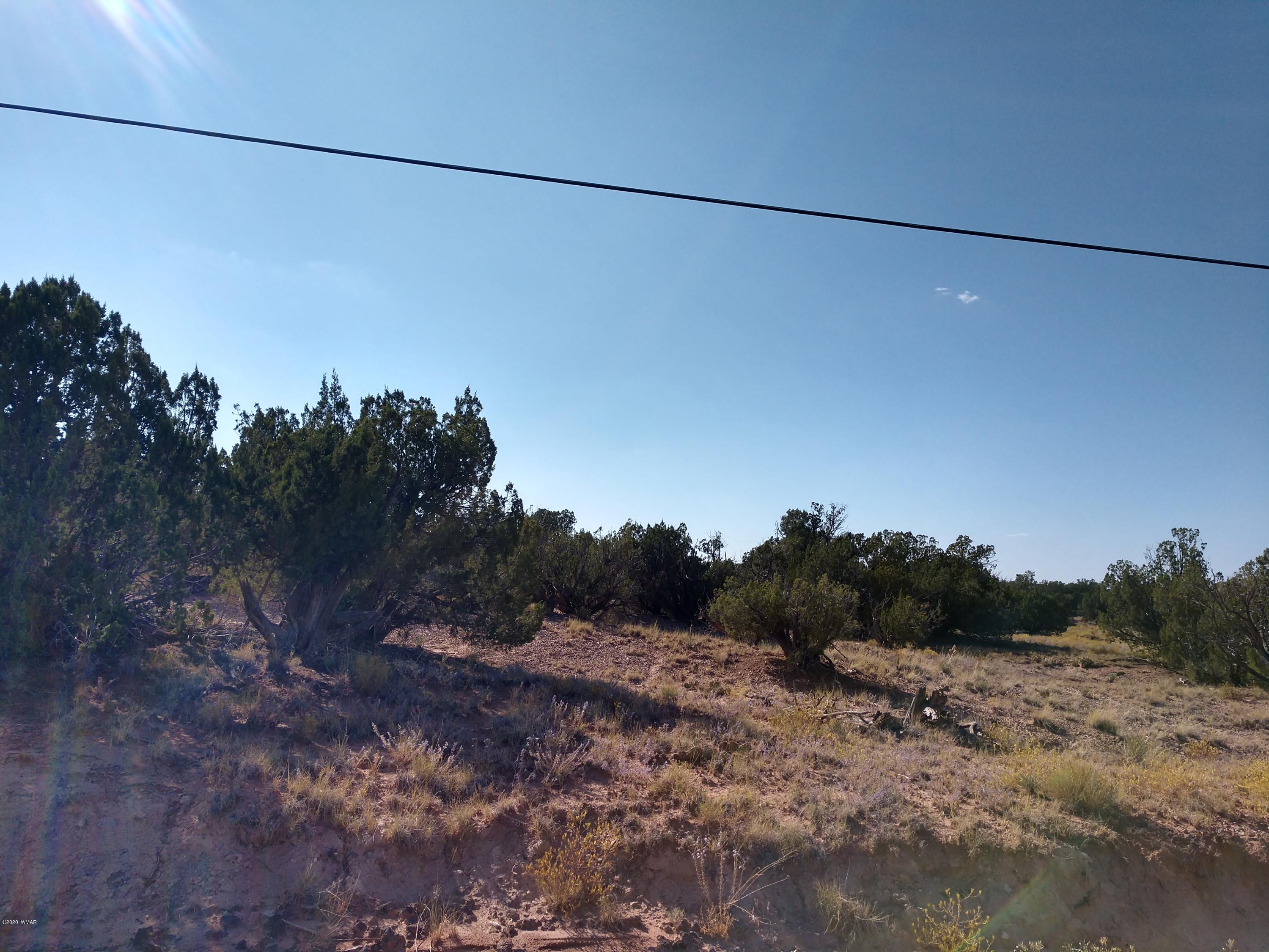 3894 Hidden Ranch Road Snowflake, AZ 85937 - Photo 4 of 7 Gallery Image 4