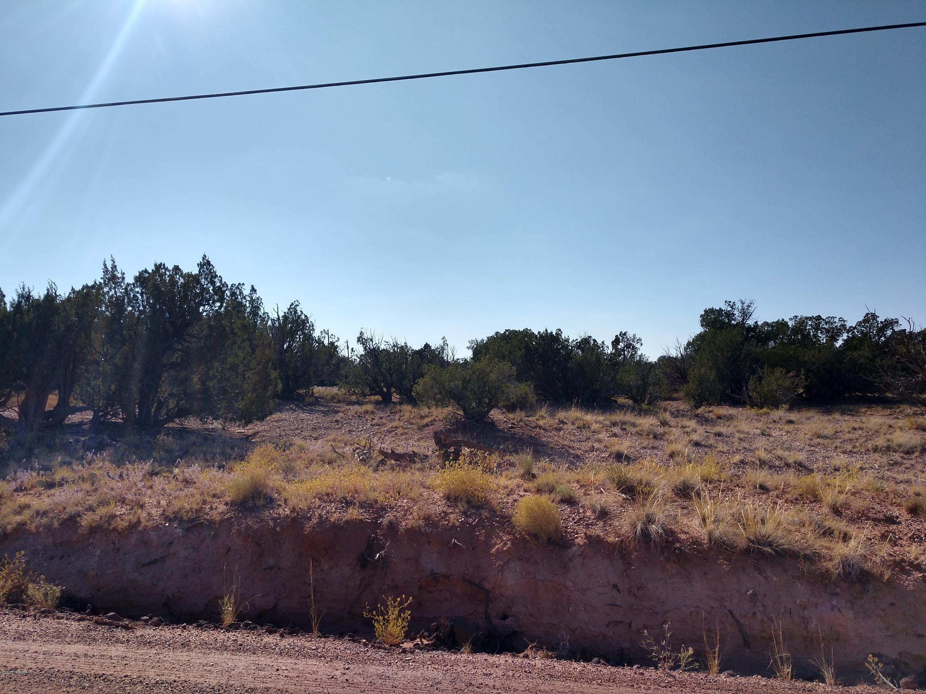 3894 Hidden Ranch Road Snowflake, AZ 85937 - Photo 5 of 7 Gallery Image 5
