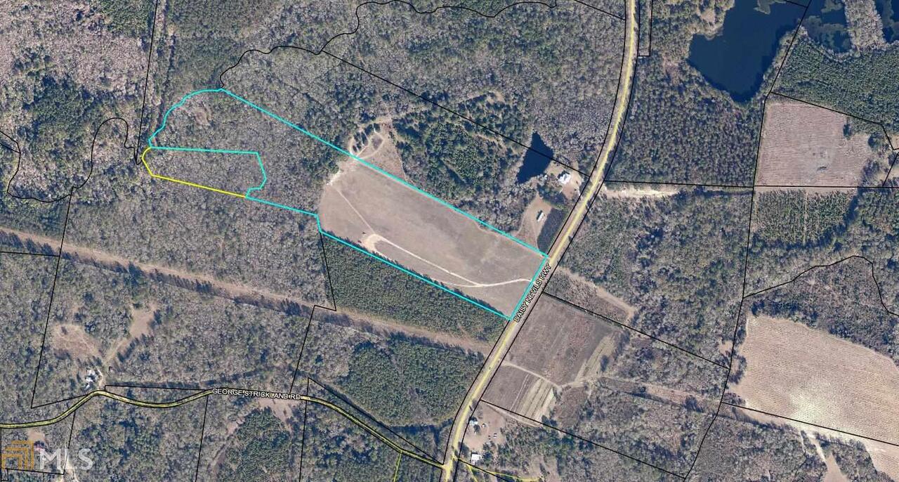 0 Daisy Nevils Road Claxton, GA 30417 - Photo 1 of 1