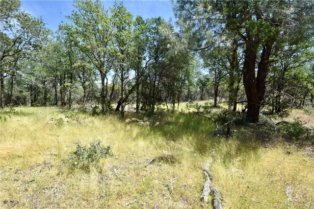 $135,000 | 0 Mackey Court, Oroville, CA 95966