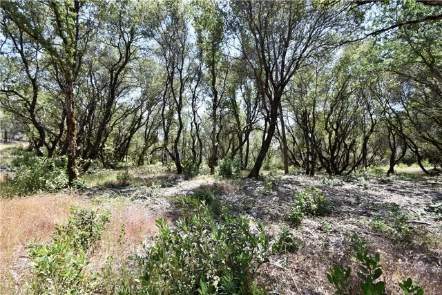 $135,000 | 0 Mackey Court, Oroville, CA 95966