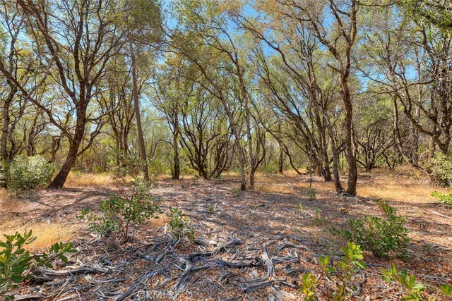 $135,000 | 0 Mackey Court, Oroville, CA 95966