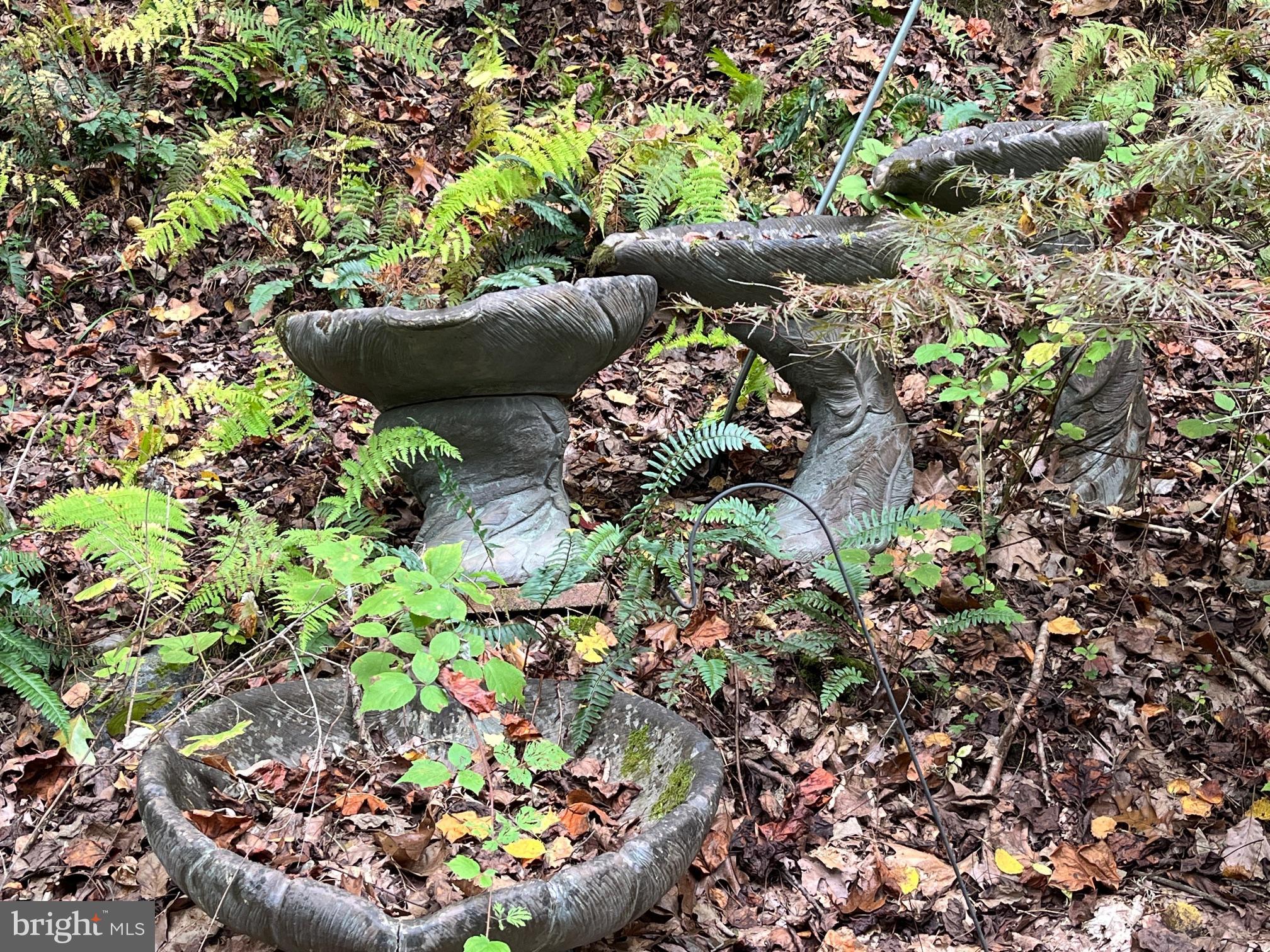 3309 Rocks Chrome Hill Road Jarrettsville, MD 21084 - Photo 20 of 29 Bird bath