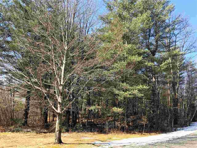 Lot 11 Furnace Brook Road Bennington, VT 05201 - Photo 1 of 7