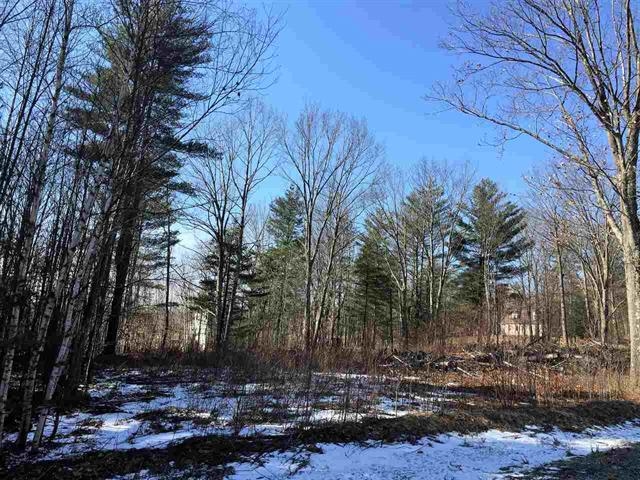 Lot 11 Furnace Brook Road Bennington, VT 05201 - Photo 3 of 7