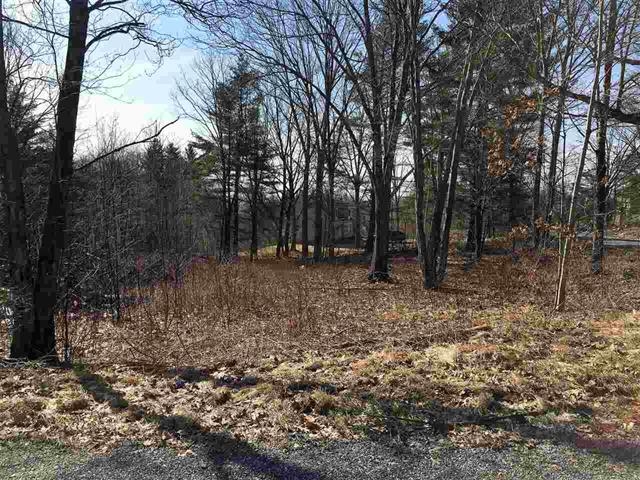 Lot 11 Furnace Brook Road Bennington, VT 05201 - Photo 4 of 7