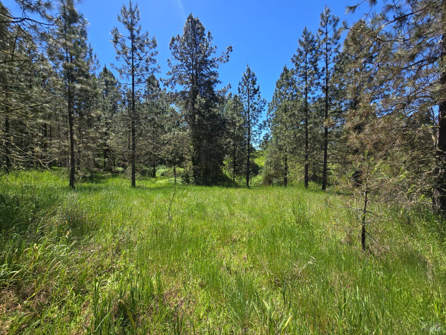 23300 Eastside Road Willits, CA 95490 - Photo 11 of 12 a view of outdoor space