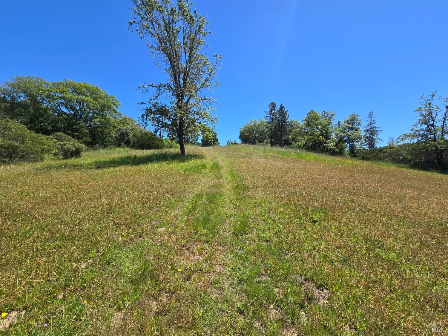 23300 Eastside Road Willits, CA 95490 - Photo 2 of 12 a view of outdoor space and yard