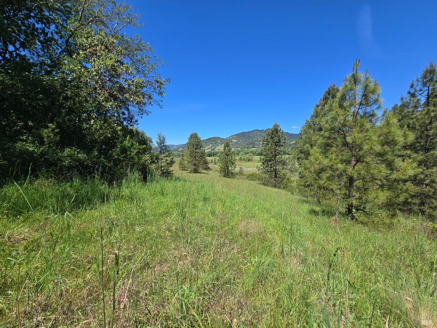 23300 Eastside Road Willits, CA 95490 - Photo 3 of 12 a view of a lush green space
