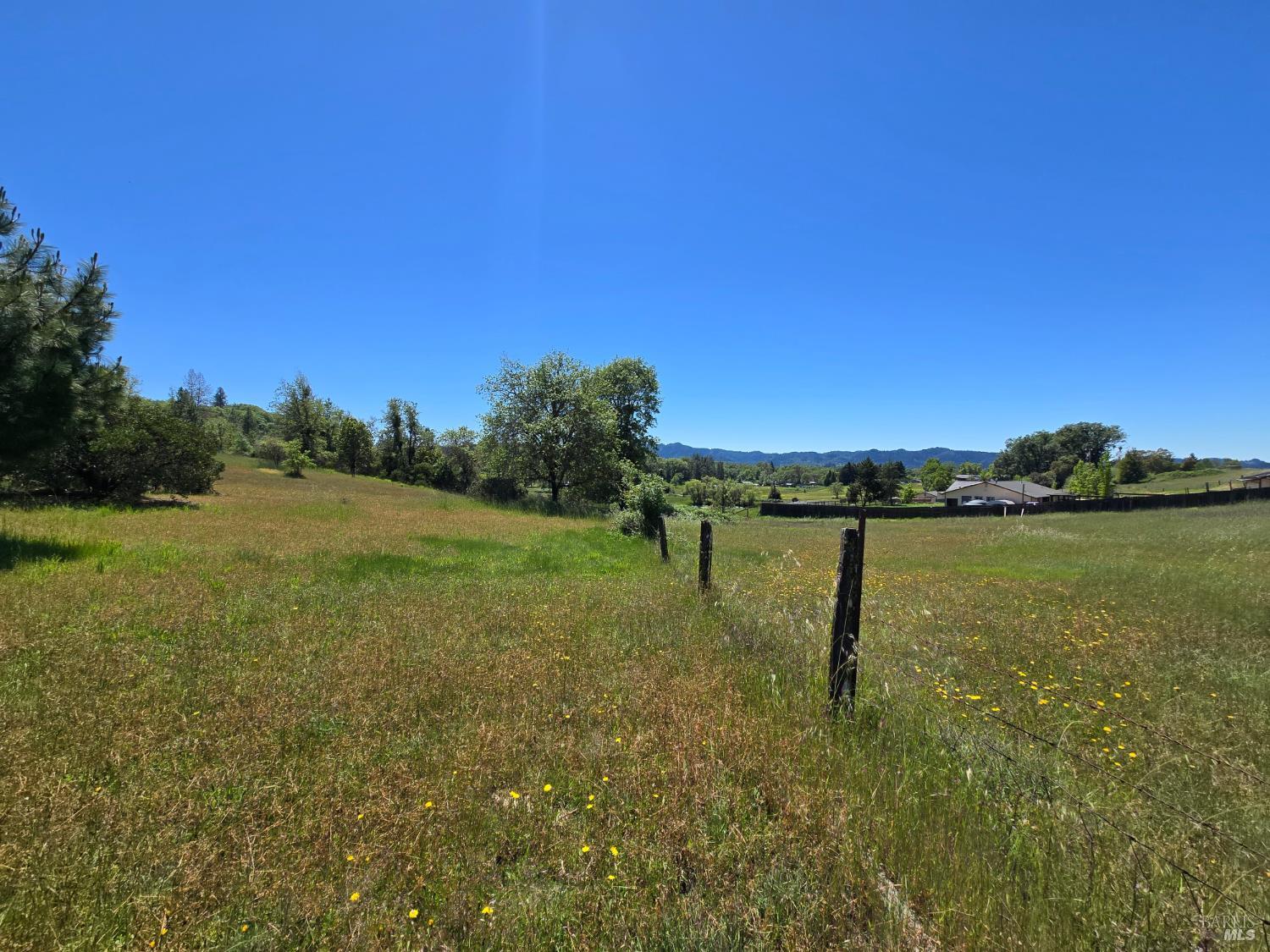 23300 Eastside Road Willits, CA 95490 - Photo 4 of 12 a view of a lake with a yard