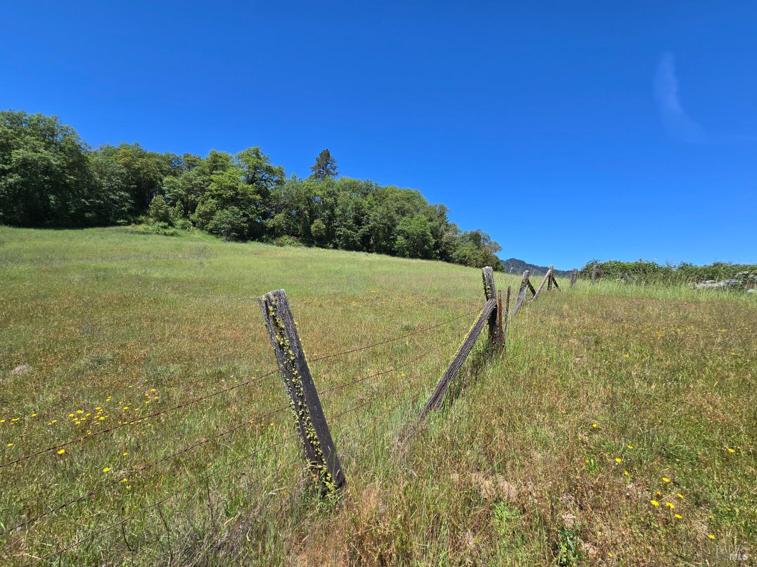 23300 Eastside Road Willits, CA 95490 - Photo 5 of 12 a view of a field with an ocean