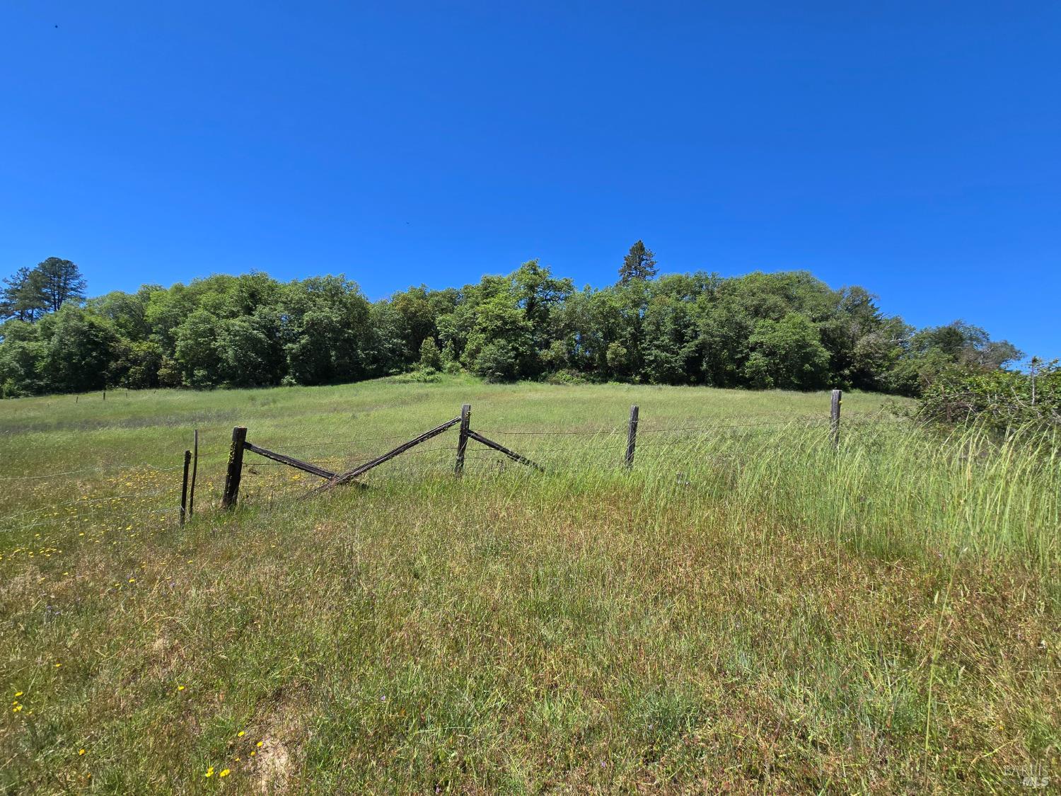23300 Eastside Road Willits, CA 95490 - Photo 6 of 12 a view of a tennis court