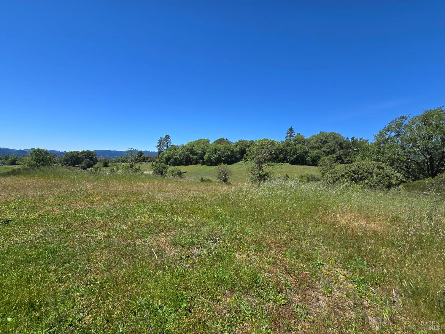 23300 Eastside Road Willits, CA 95490 - Photo 9 of 12 a view of a lake with a yard