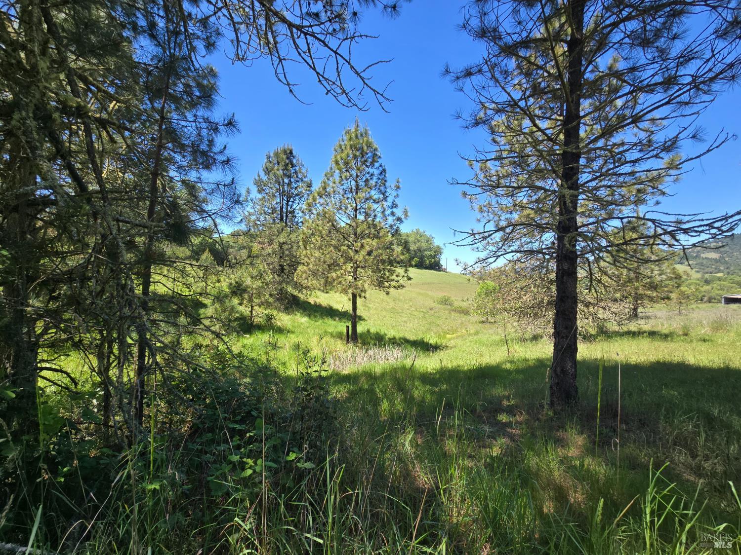 23300 Eastside Road Willits, CA 95490 - Photo 10 of 12 a view of lake view with a garden