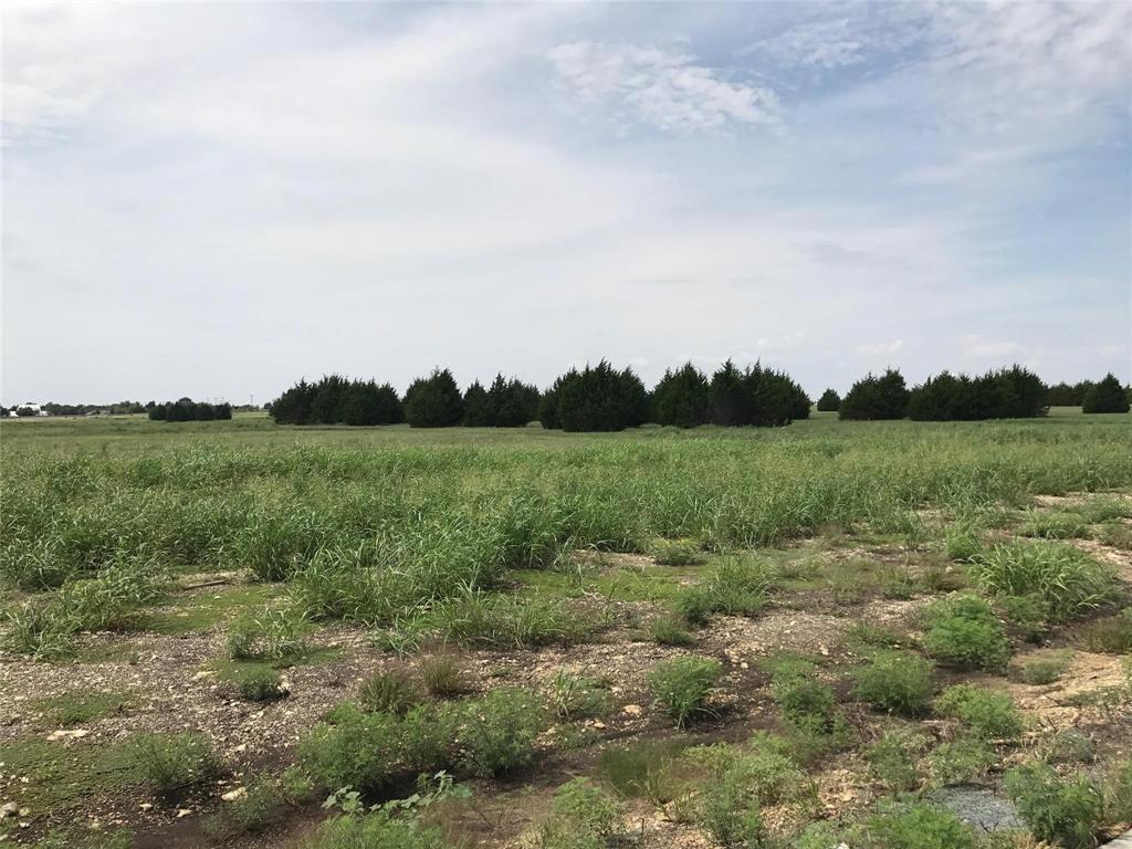 5220 Bravo Road Midlothian, TX 76065 - Photo 1 of 2