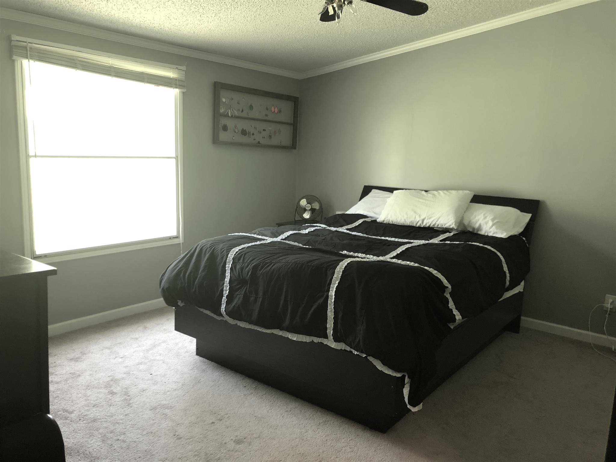 3029 Sweethome Road Chapmansboro, TN 37035 - Photo 6 of 12 Gallery Image 6