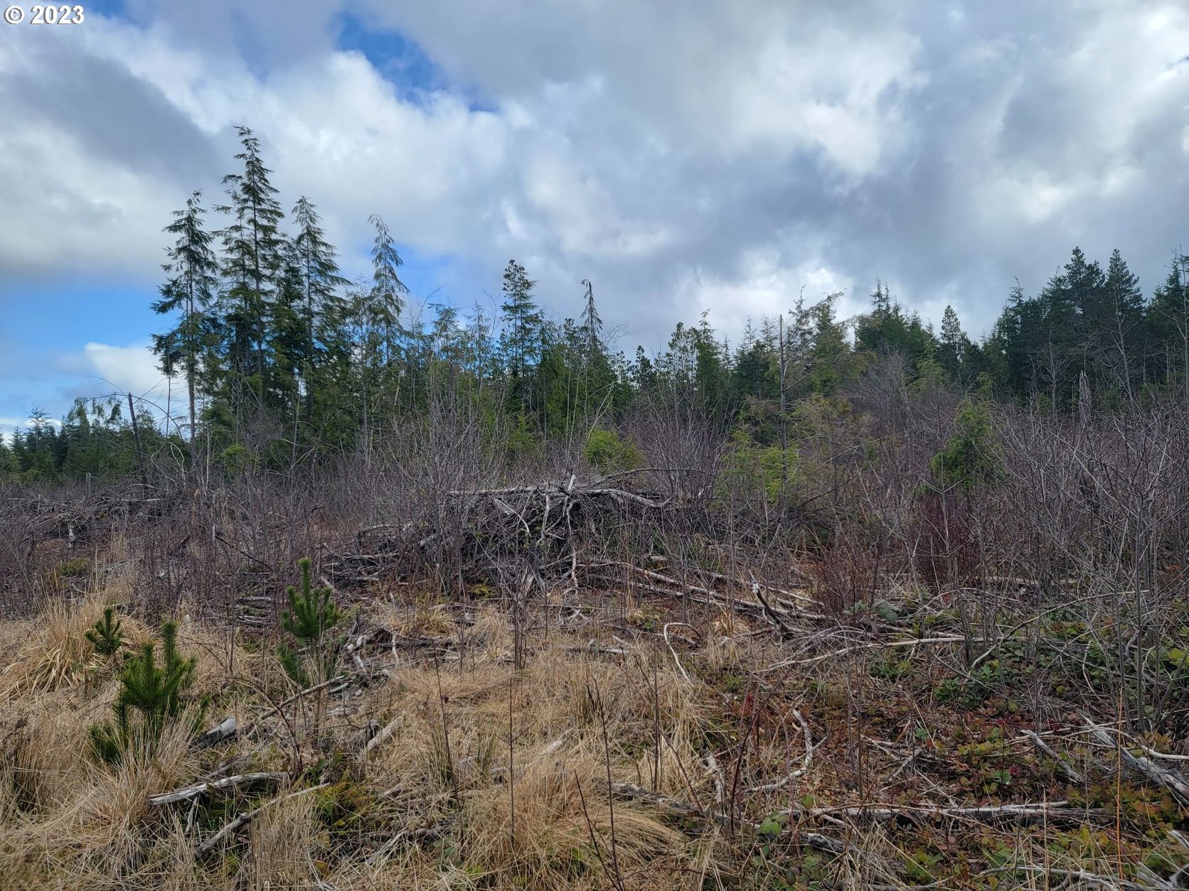 Ocean Beach Road Copalis Crossing, WA 98536 - Photo 1 of 26 Gallery Image 1
