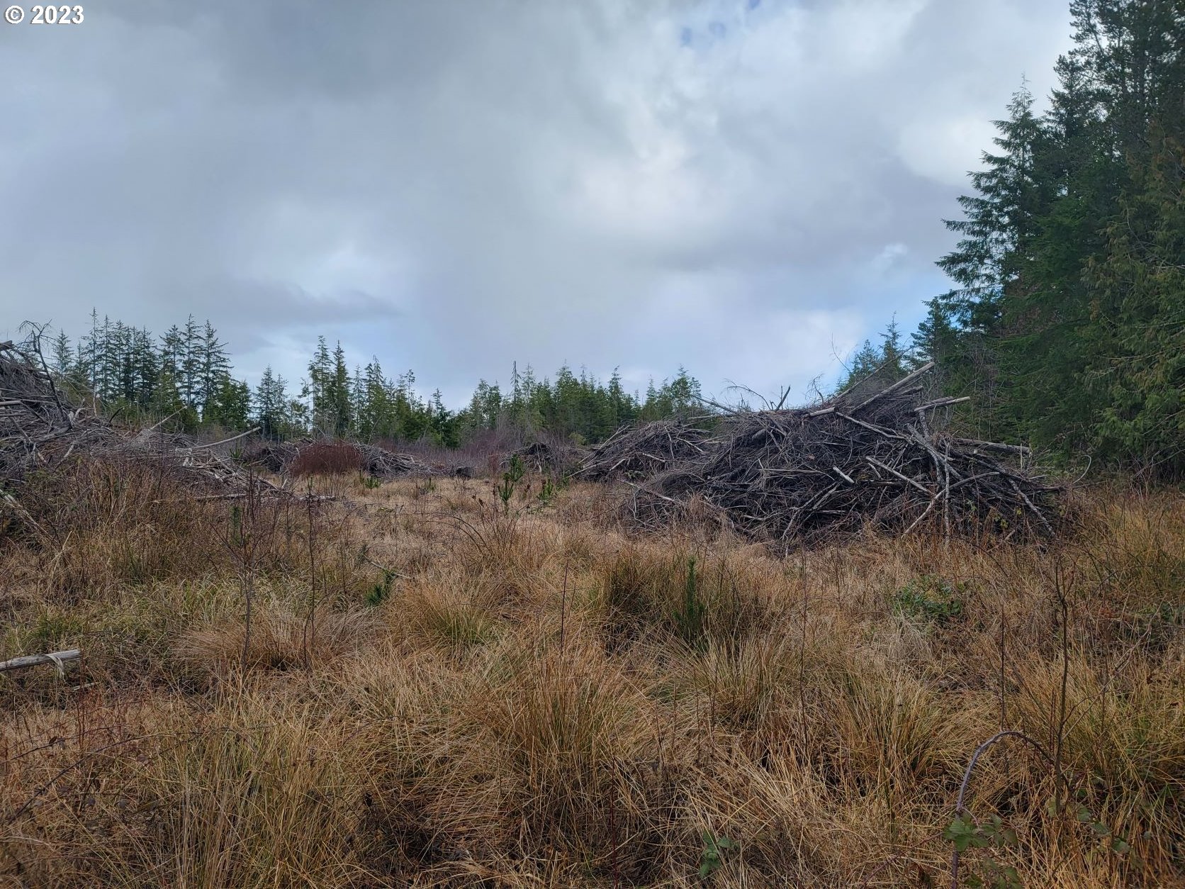 Ocean Beach Road Copalis Crossing, WA 98536 - Photo 21 of 26 Gallery Image 21