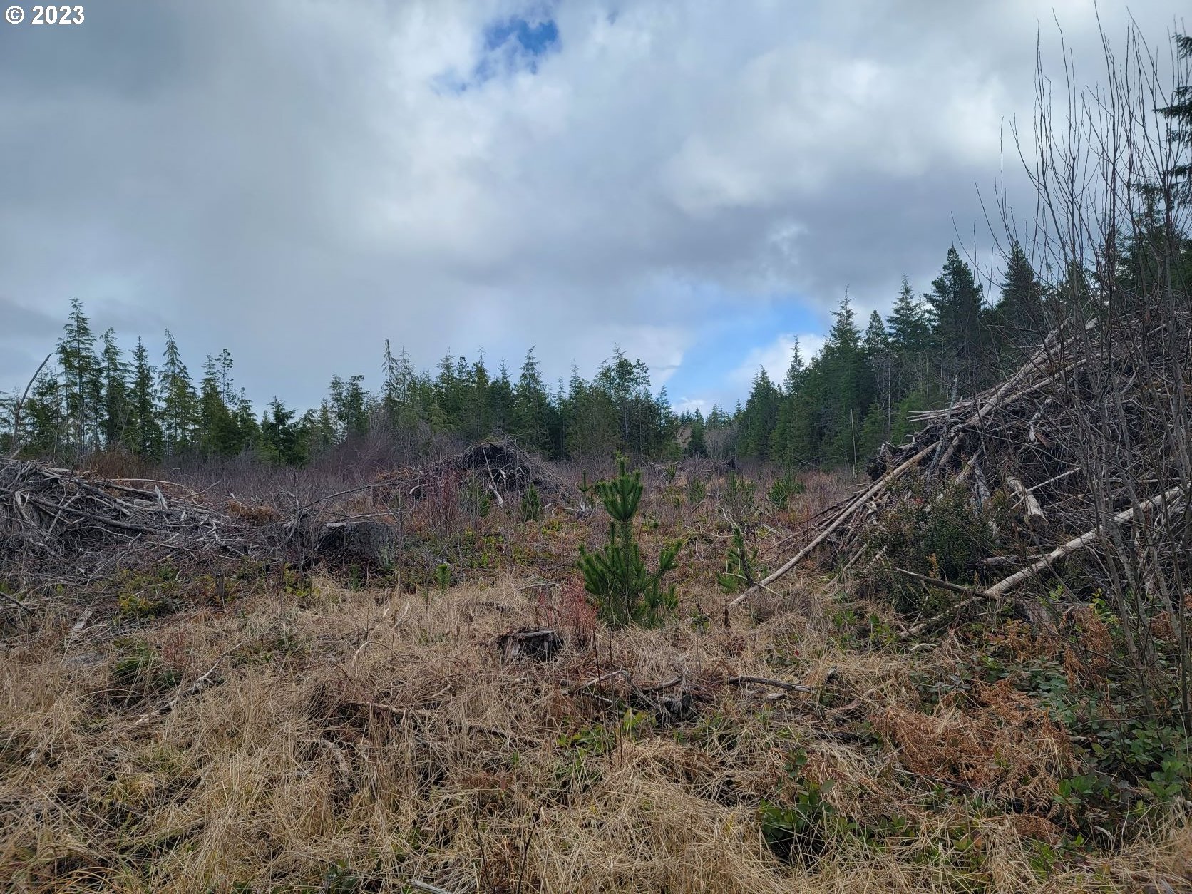 Ocean Beach Road Copalis Crossing, WA 98536 - Photo 23 of 26 Gallery Image 23