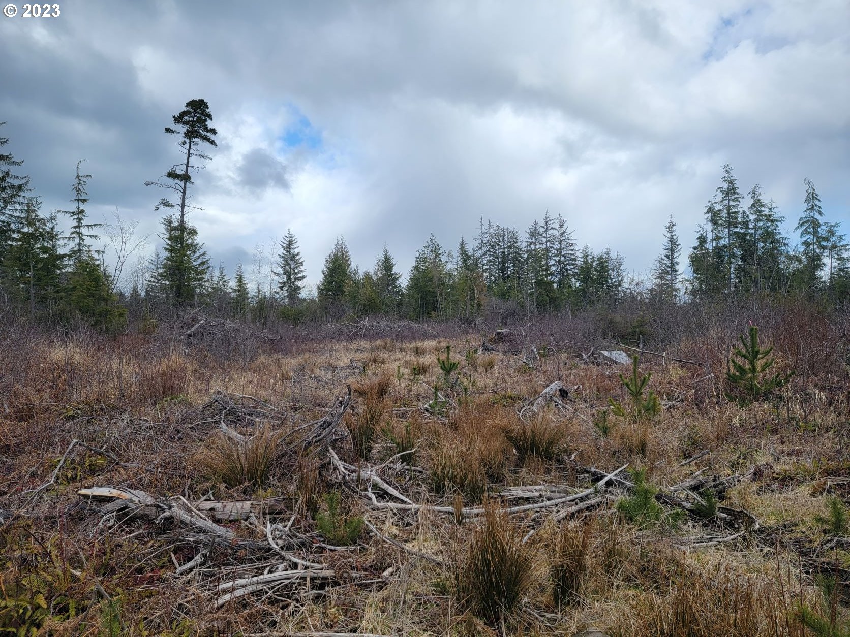 Ocean Beach Road Copalis Crossing, WA 98536 - Photo 5 of 26 Gallery Image 5