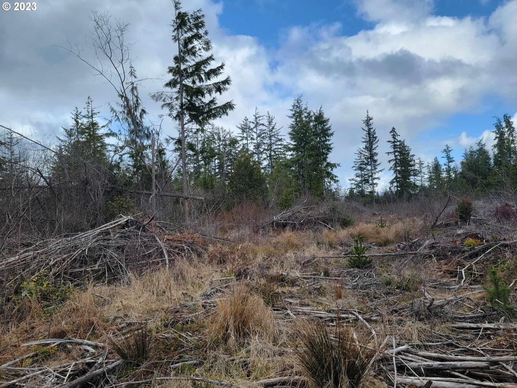 Ocean Beach Road Copalis Crossing, WA 98536 - Photo 6 of 26 Gallery Image 6