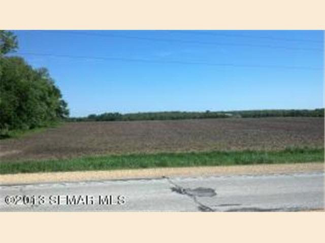 63 & Cty 16 Racine Mn 55967 Racine, MN 55967 - Photo 2 of 4