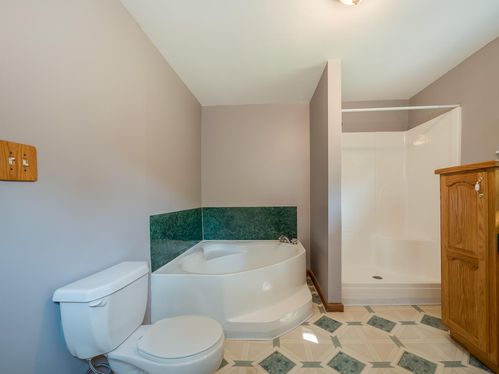 93 Middle Road Lookout Mountain, GA 30750 - Photo 18 of 24 Garden Tub & Separate Shower.
