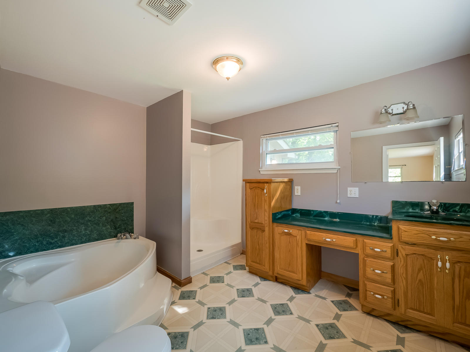 93 Middle Road Lookout Mountain, GA 30750 - Photo 6 of 24 Master Bath.