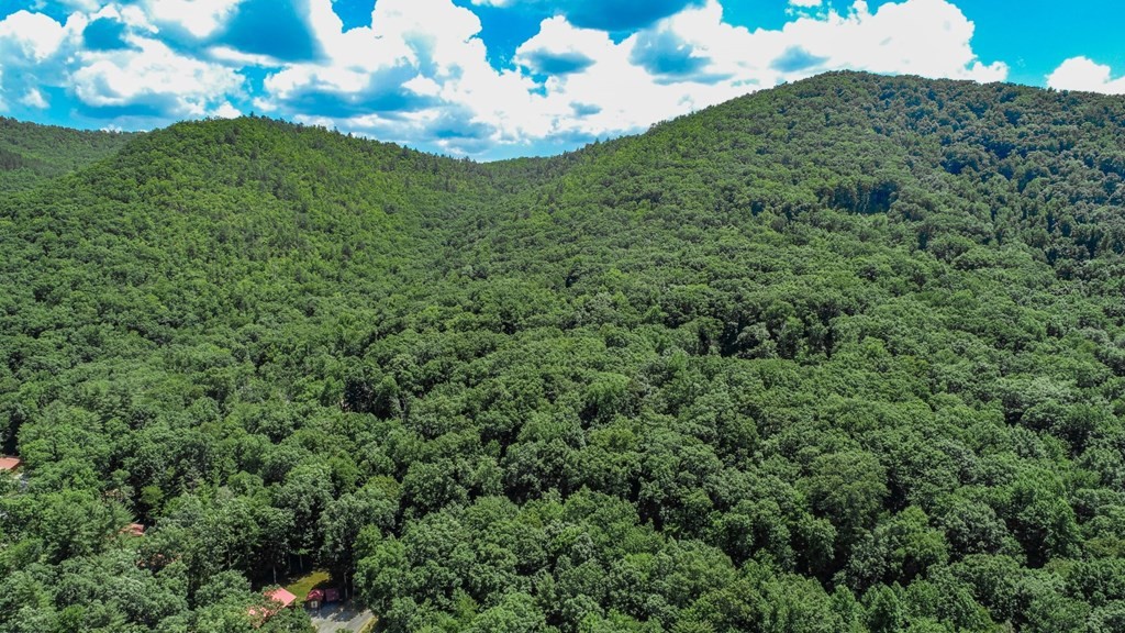 33983400 Laurelwood Road Cosby, TN 37722 - Photo 13 of 35 Gallery Image 13