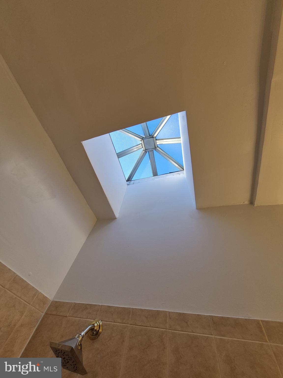 2518 McCulloh Street Baltimore, MD 21217 - Photo 30 of 50 Bathroom 1 Skylight