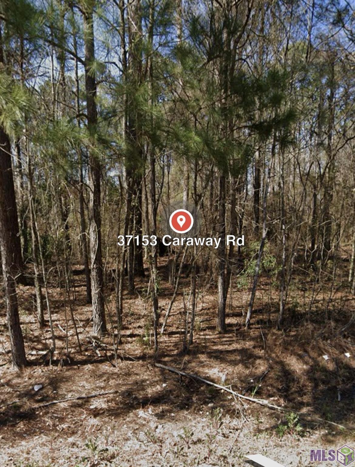 37153 Caraway Road Denham Springs, LA 70706 - Photo 2 of 2