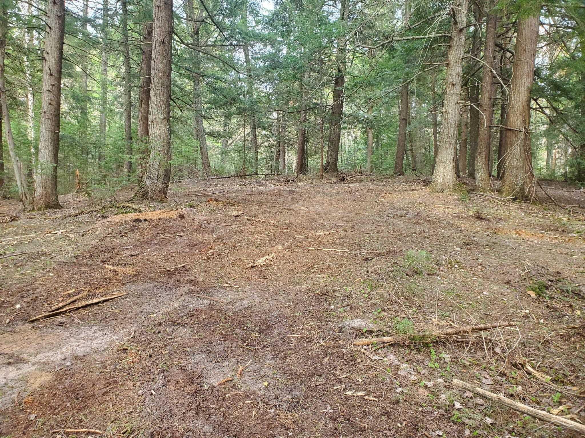Old Plank Road Wetmore, MI 49895 - Photo 5 of 13