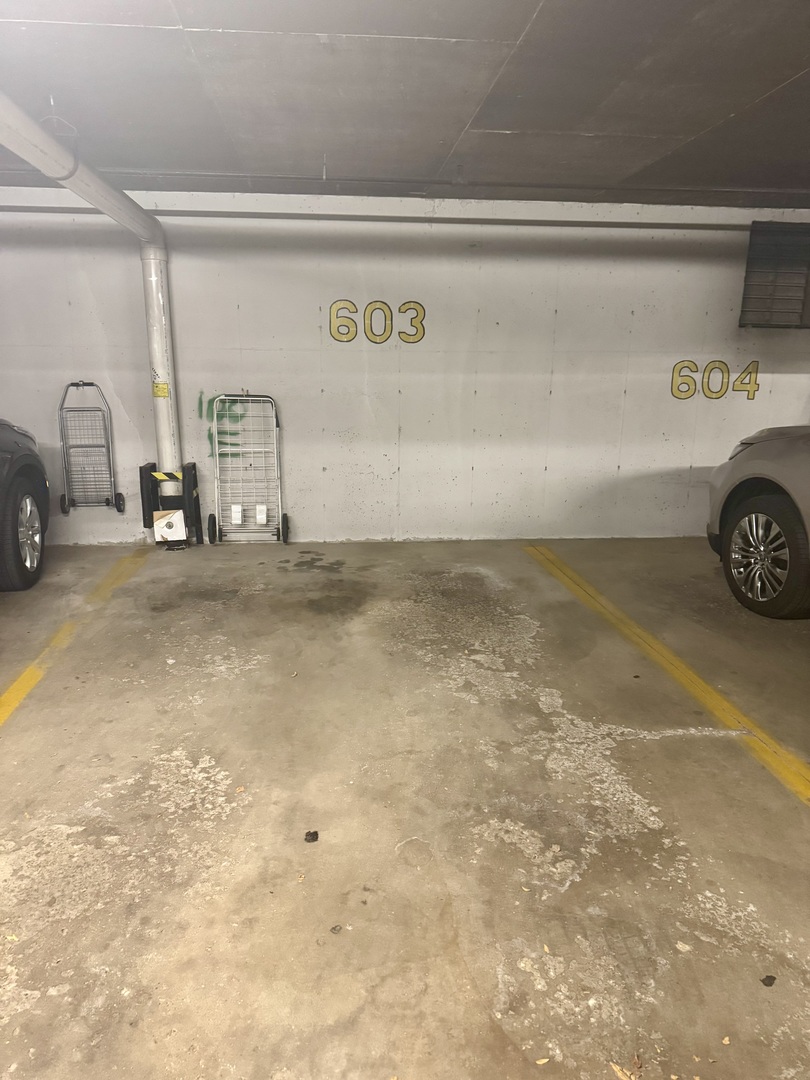 100 Lake Boulevard, Unit 603 Buffalo Grove, IL 60089 - Photo 46 of 47