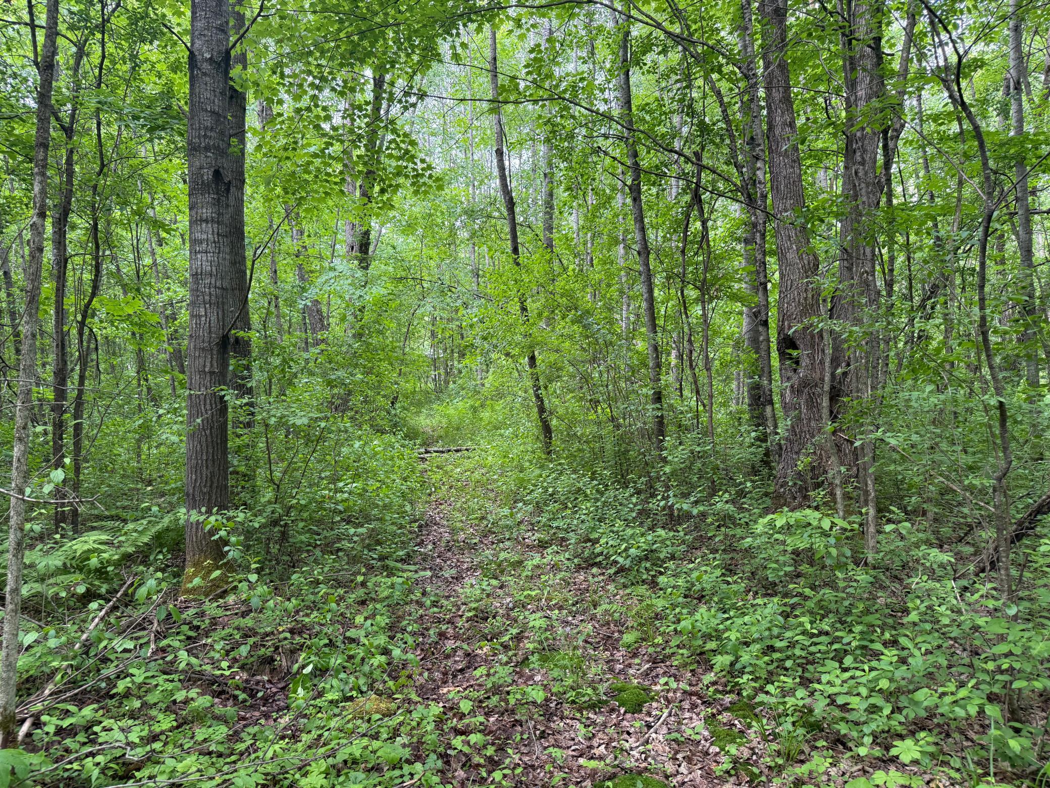 10551 Mallard Road Brook Park, MN 55007 - Photo 31 of 44