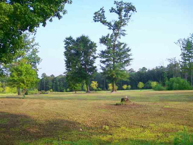 16.6-ac Clear Pond Road Conway, SC 29526 - Photo 1 of 10 Gallery Image 1