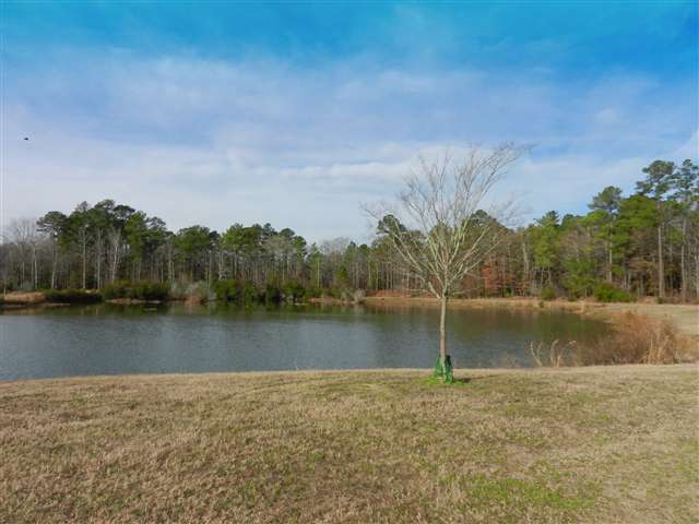 16.6-ac Clear Pond Road Conway, SC 29526 - Photo 2 of 10 Gallery Image 2