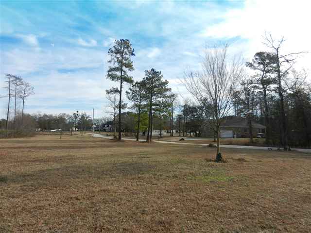 16.6-ac Clear Pond Road Conway, SC 29526 - Photo 3 of 10 Gallery Image 3