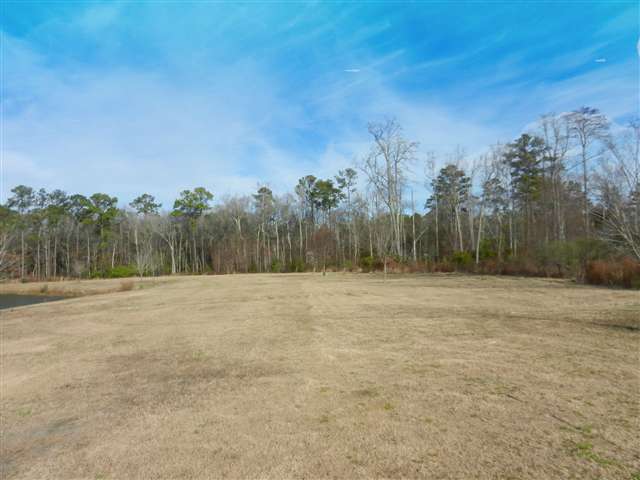 16.6-ac Clear Pond Road Conway, SC 29526 - Photo 4 of 10 Gallery Image 4