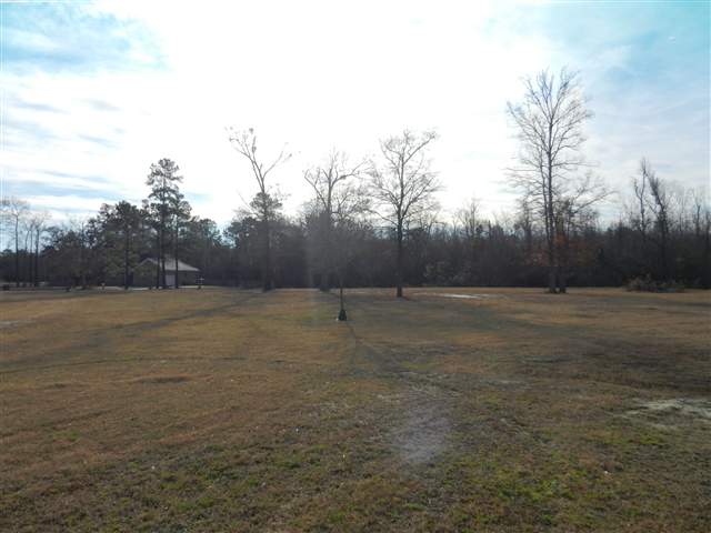 16.6-ac Clear Pond Road Conway, SC 29526 - Photo 5 of 10 Gallery Image 5