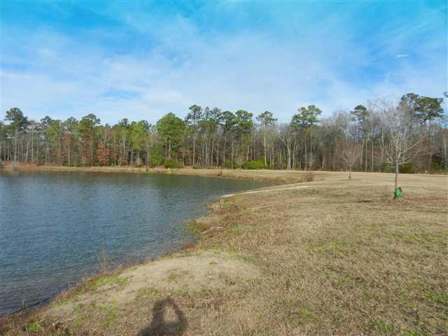 16.6-ac Clear Pond Road Conway, SC 29526 - Photo 6 of 10 Gallery Image 6