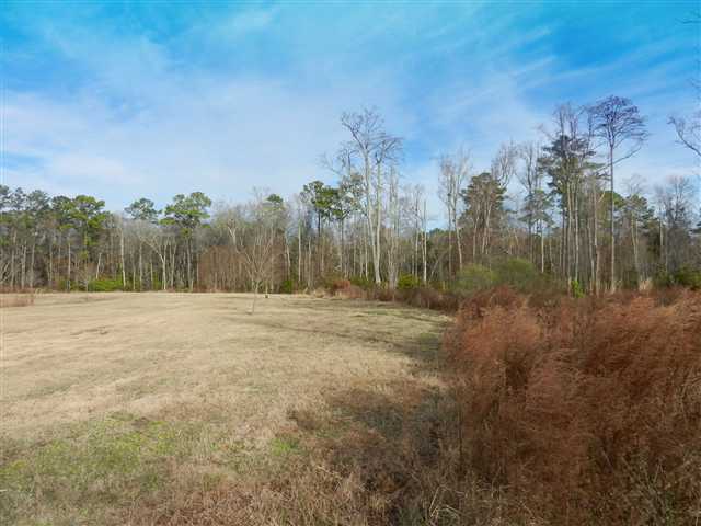 16.6-ac Clear Pond Road Conway, SC 29526 - Photo 7 of 10 Gallery Image 7